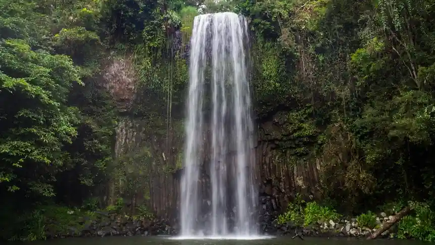 Millaa Millaa Falls Death: Man Dies at Popular Queensland Waterfall Near Cairns