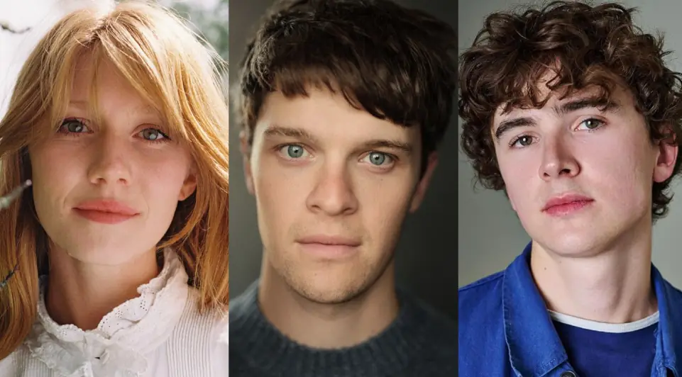 Illustration representing James Potter, Lily Potter and Charlie Weasley following HBO's Harry Potter series casting announcement.