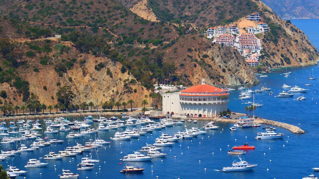 Catalina Island helicopter crash