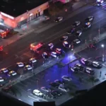 Northridge shooting near CSUN