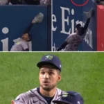 Yankees fan interference