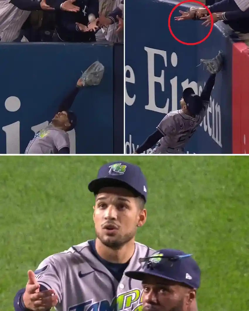 Yankees fan interference